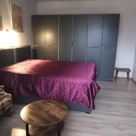 公寓 Mama 考纳斯