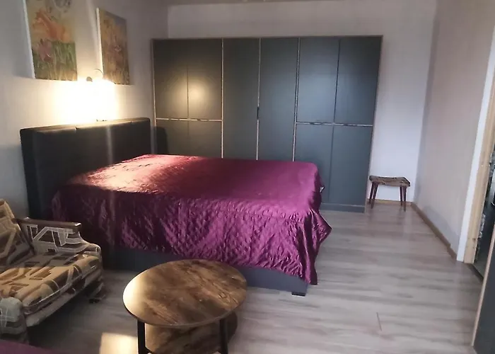 公寓 Mama 考纳斯